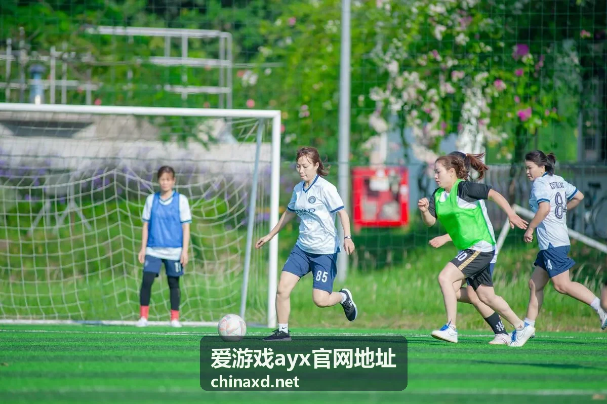 爱游戏ayx官网地址常见问题答疑页面示意