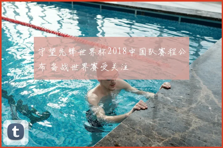 守望先锋世界杯2018中国队赛程公布 备战世界赛受关注