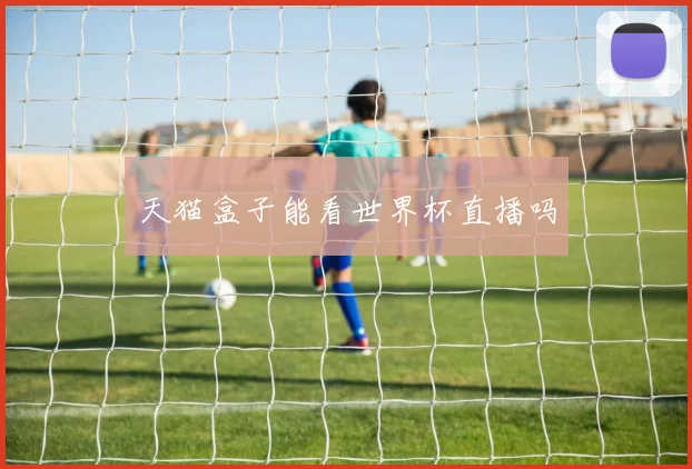 天猫盒子能看世界杯直播吗