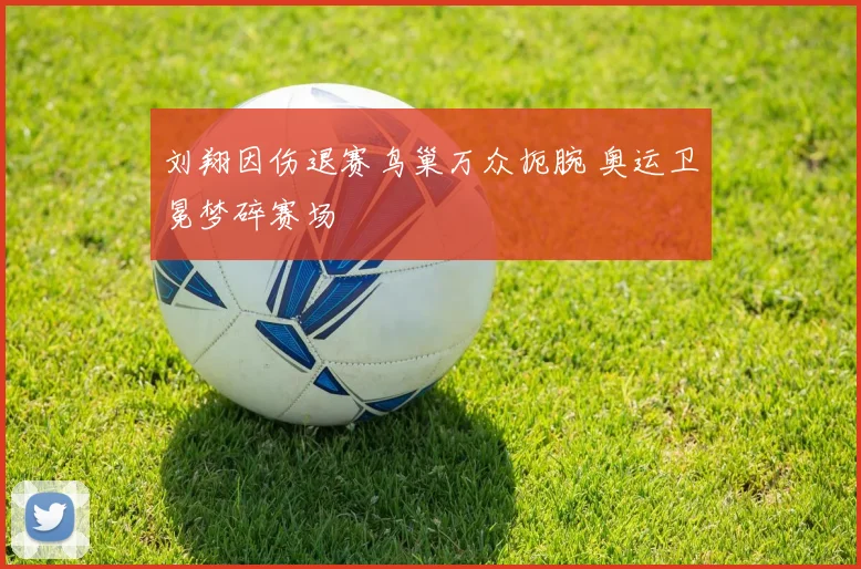 刘翔因伤退赛鸟巢万众扼腕 奥运卫冕梦碎赛场