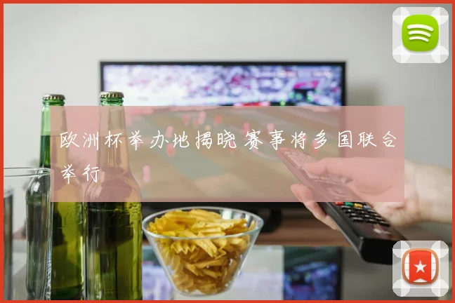 欧洲杯举办地揭晓 赛事将多国联合举行