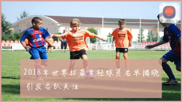 2018年世界杯最年轻球员名单揭晓 引发各队关注