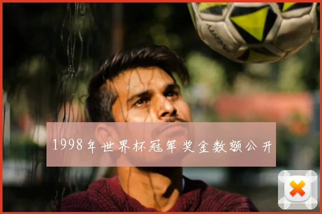 1998年世界杯冠军奖金数额公开