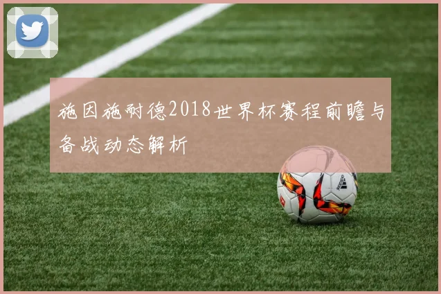施因施耐德2018世界杯赛程前瞻与备战动态解析