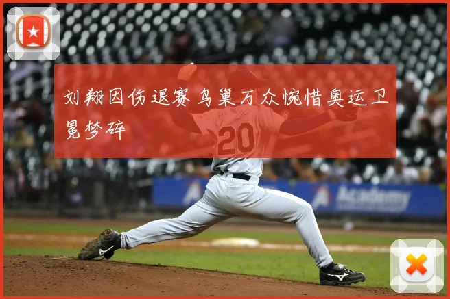 刘翔因伤退赛鸟巢万众惋惜奥运卫冕梦碎