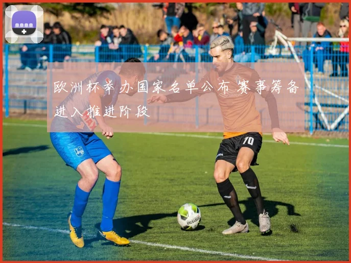 欧洲杯举办国家名单公布 赛事筹备进入推进阶段