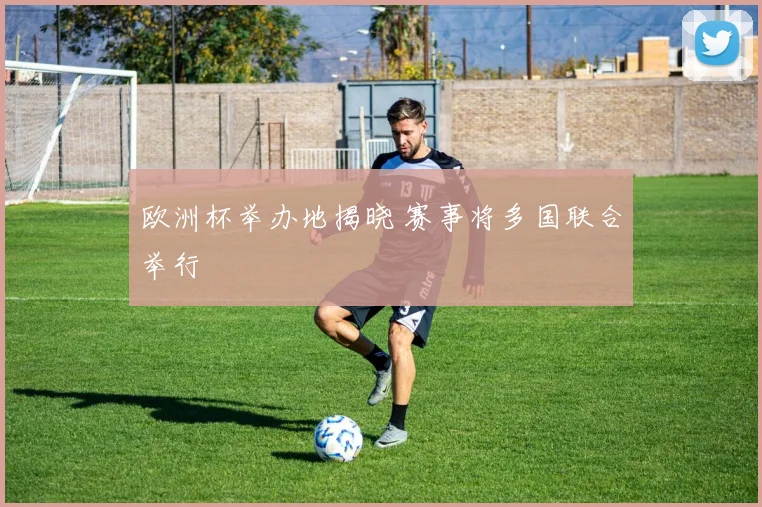 欧洲杯举办地揭晓 赛事将多国联合举行