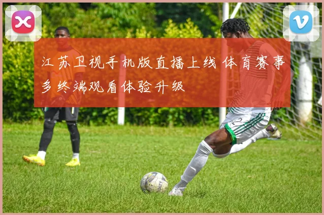 江苏卫视手机版直播上线 体育赛事多终端观看体验升级