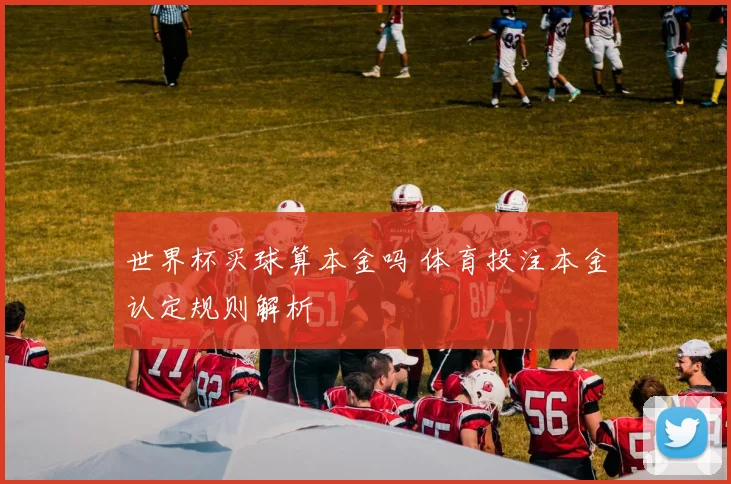 世界杯买球算本金吗 体育投注本金认定规则解析