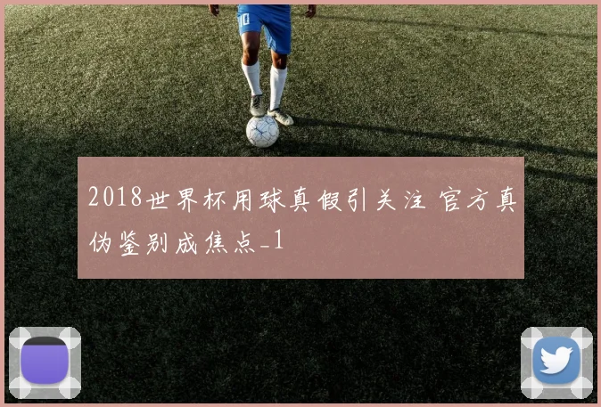 2018世界杯用球真假引关注 官方真伪鉴别成焦点_1