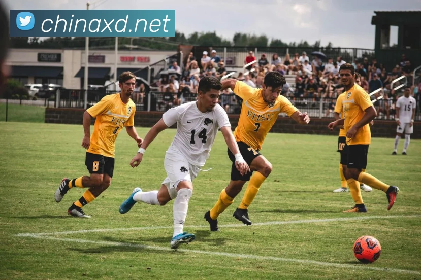 beat365在线登录vip入口服务体系